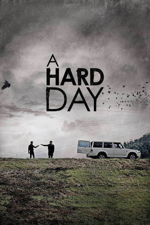 Póster de A Hard Day