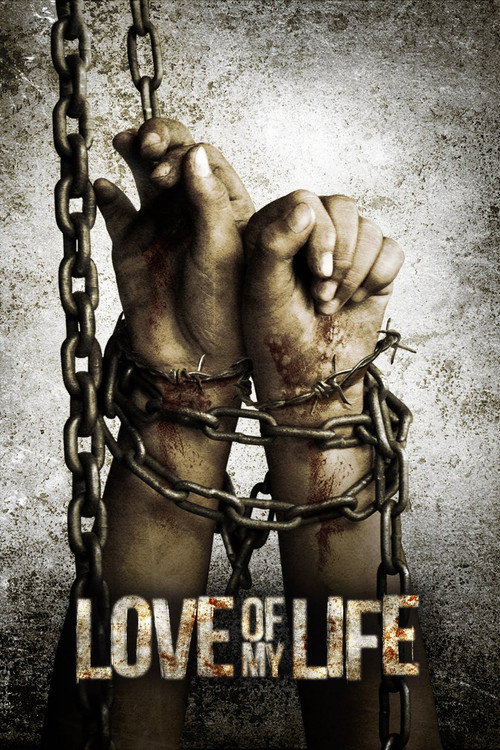 Póster de Love of My Life