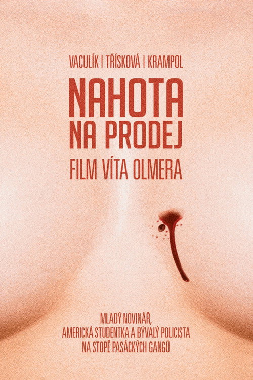 Póster de Nudity For Sale