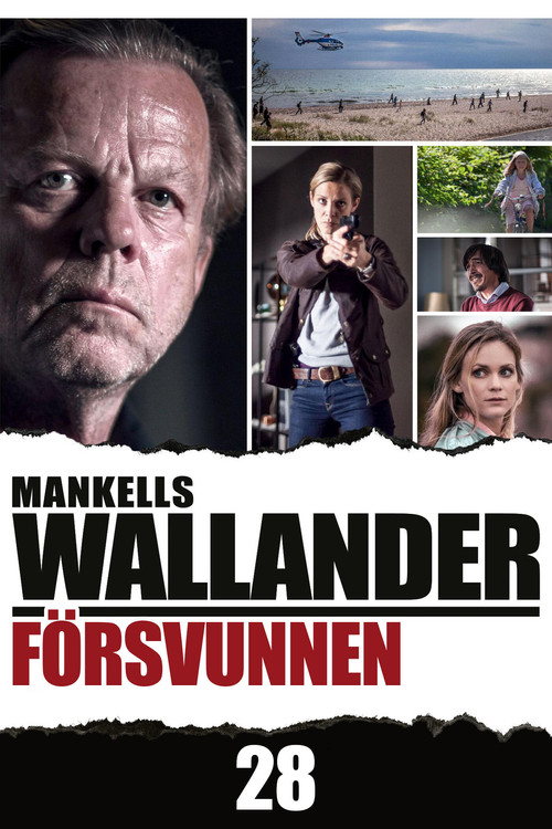 Póster de Wallander: Missing