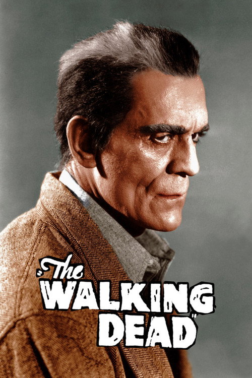 Póster de The Walking Dead