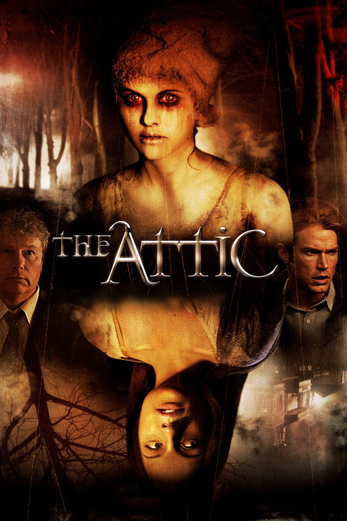 Póster de The Attic