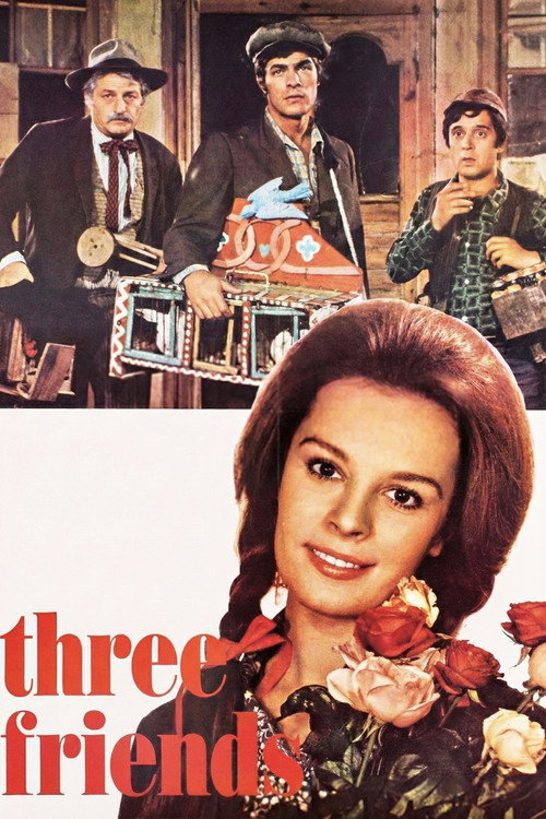 Póster de Three Friends