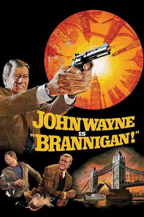 Póster de Brannigan
