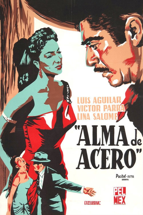 Póster de Alma de Acero