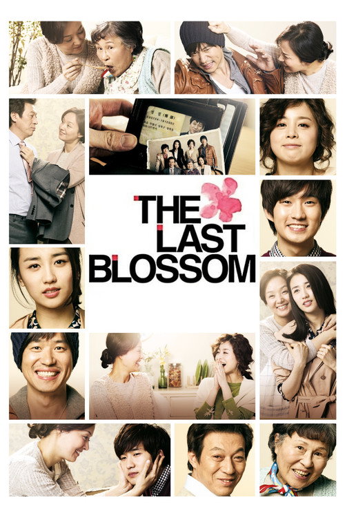 Póster de The Last Blossom