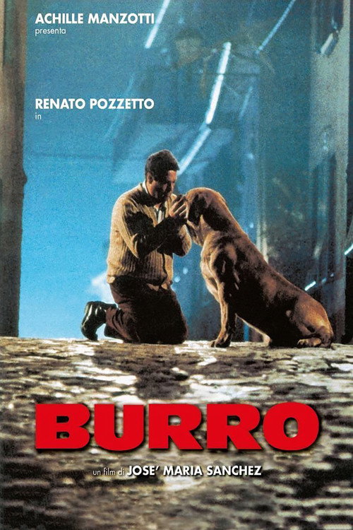 Póster de Burro