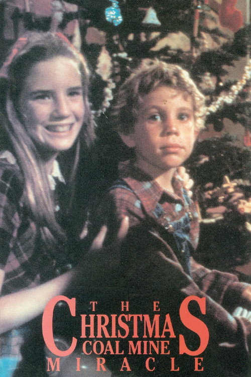 Póster de Christmas Miracle in Caufield, U.S.A.