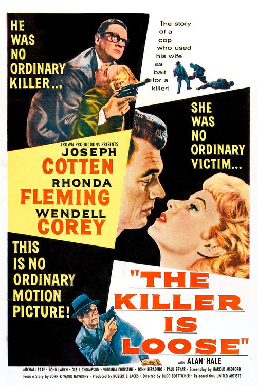 Póster de The Killer Is Loose