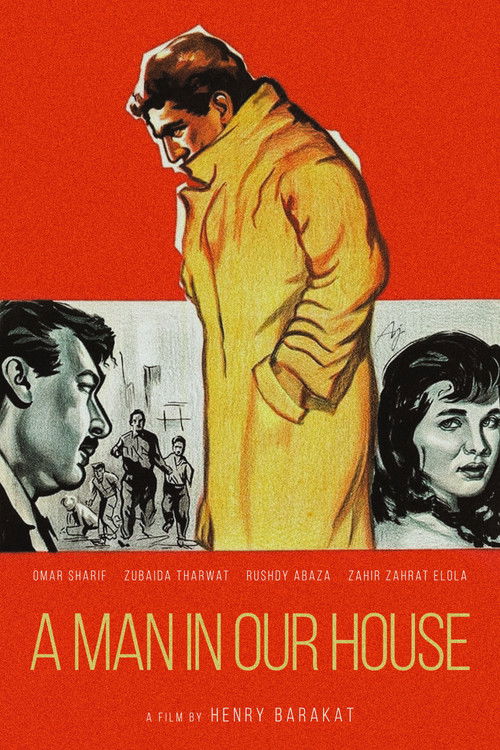 Póster de A Man in Our House