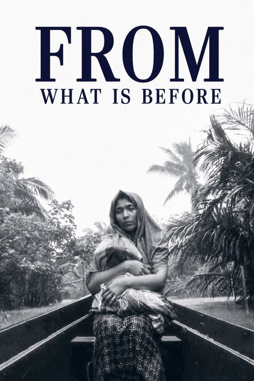 Locandina di From What Is Before