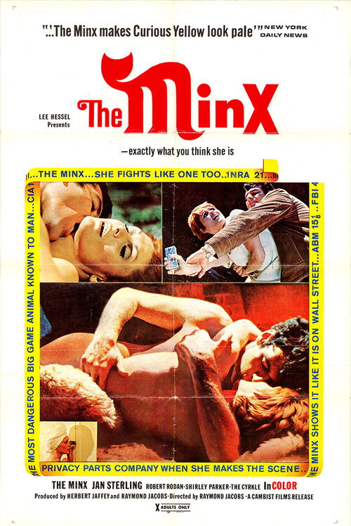 Póster de The Minx