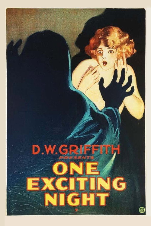 Póster de One Exciting Night