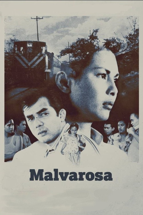 Póster de Malvarosa