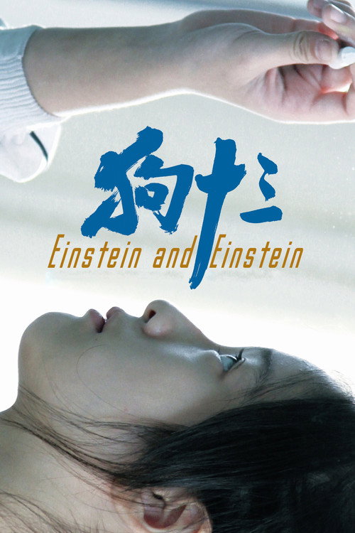Póster de Einstein and Einstein