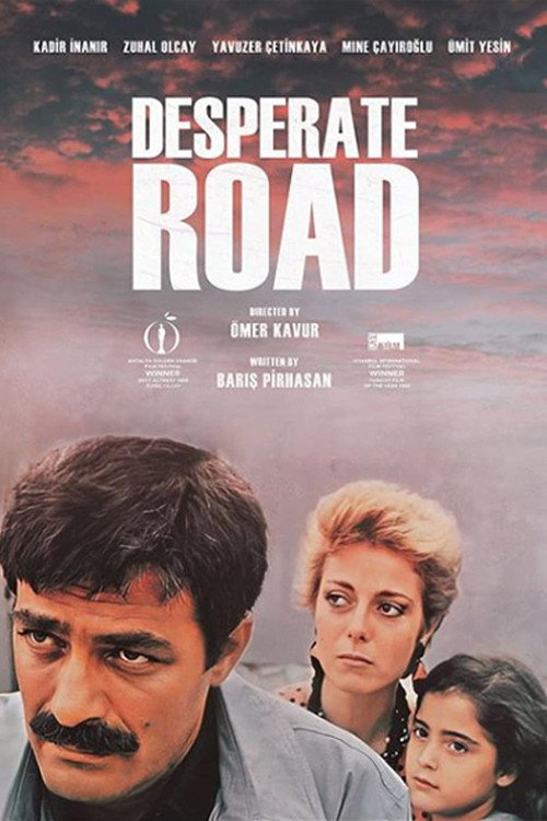 Póster de Desperate Road