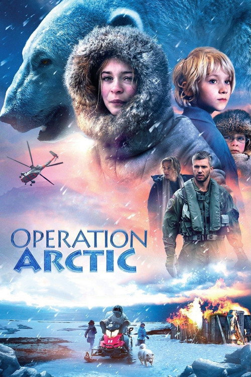Póster de Operation Arctic