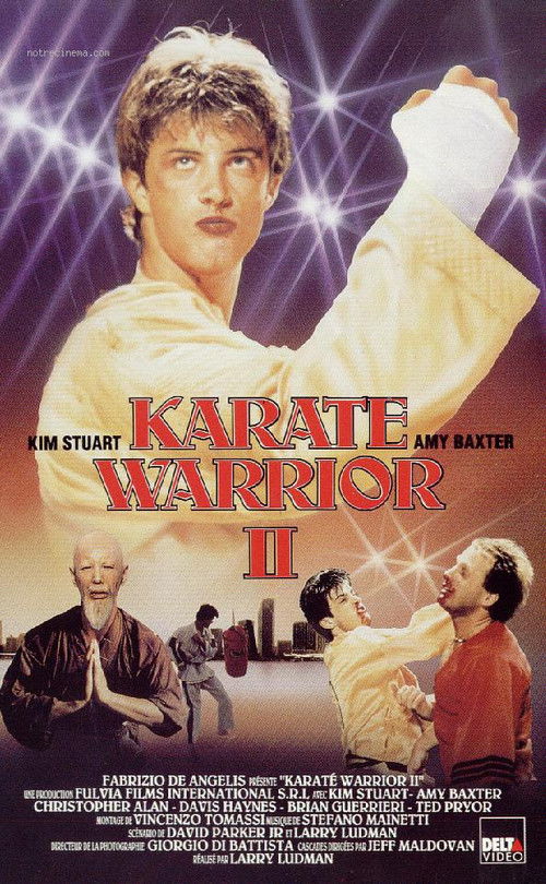 Póster de Karate Warrior 2