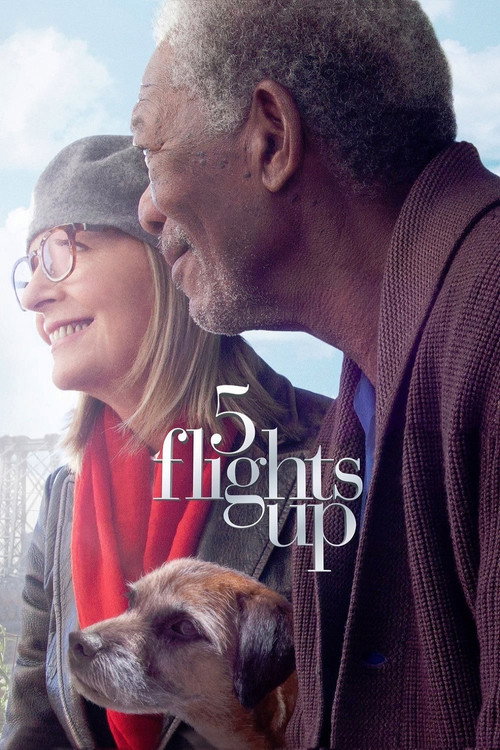 Póster de 5 Flights Up