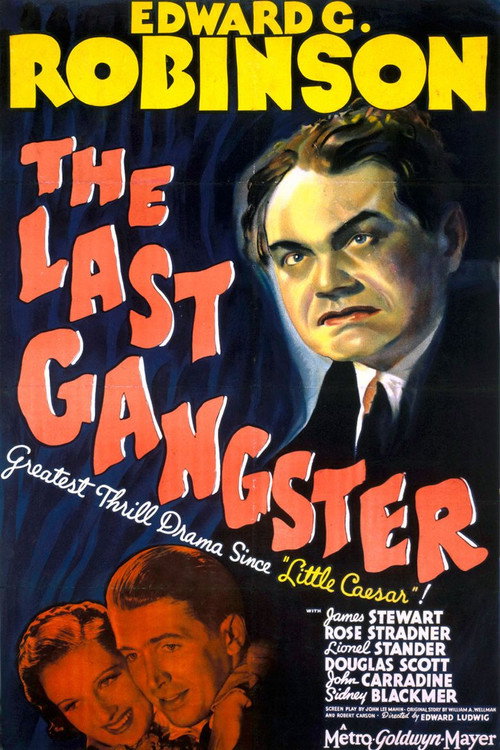 Póster de The Last Gangster