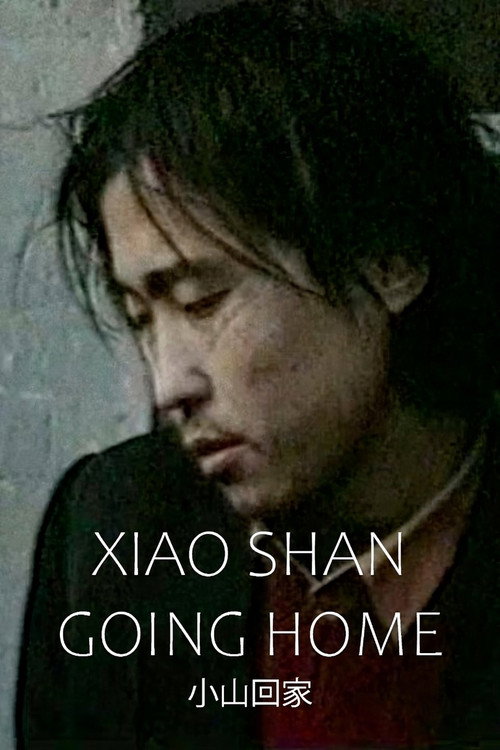 Póster de Xiao Shan Going Home