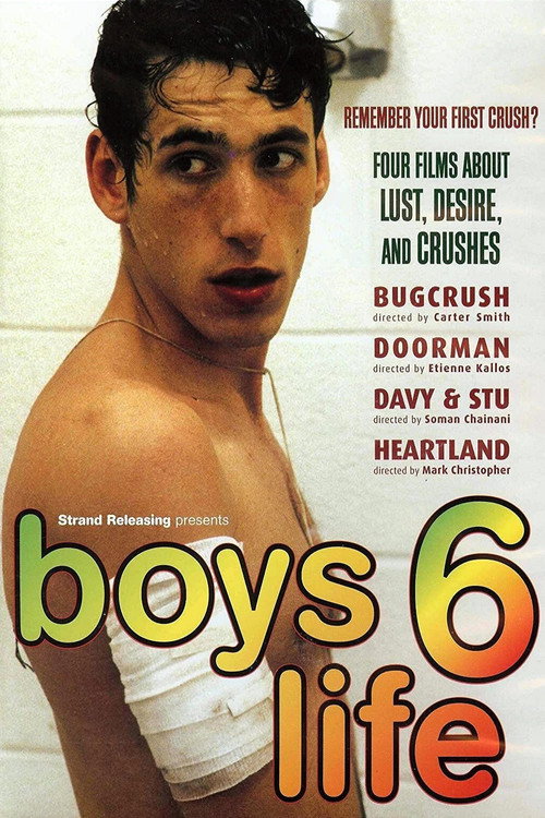 Locandina di Boys Life 6