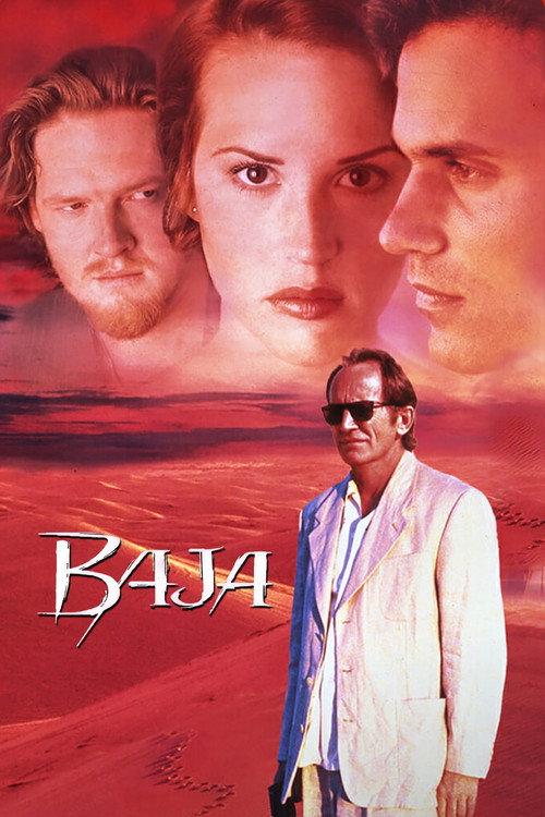 Póster de Baja