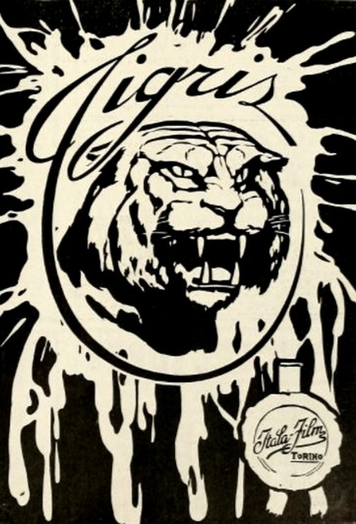 Póster de Tigris