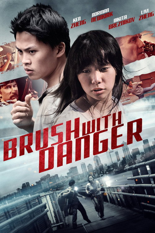Póster de Brush with Danger