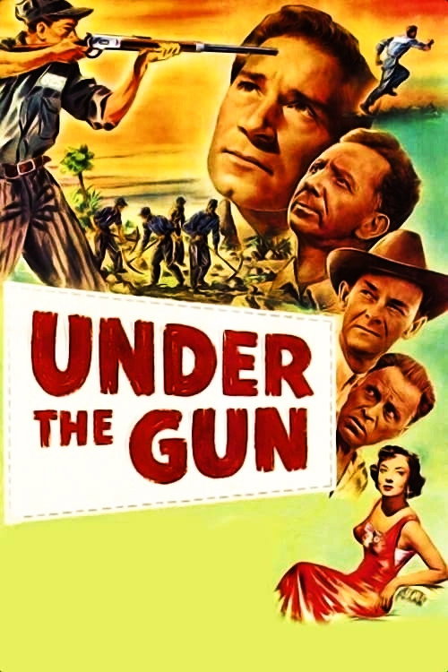 Póster de Under the Gun