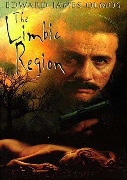 Póster de The Limbic Region