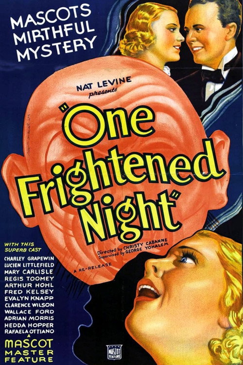Póster de One Frightened Night