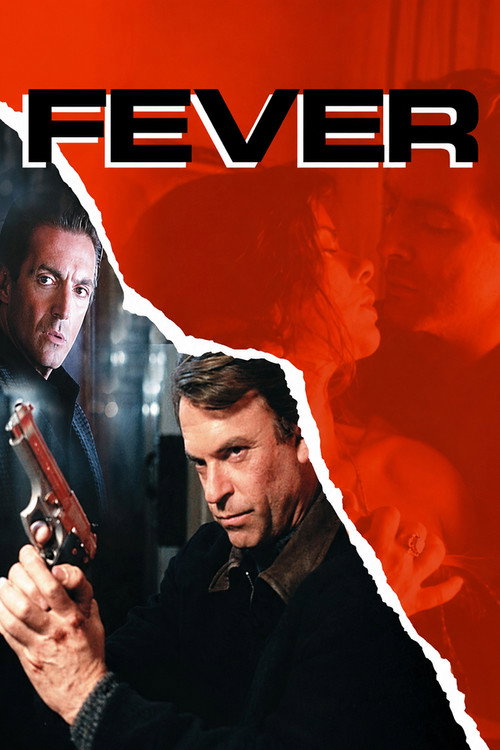 Póster de Fever