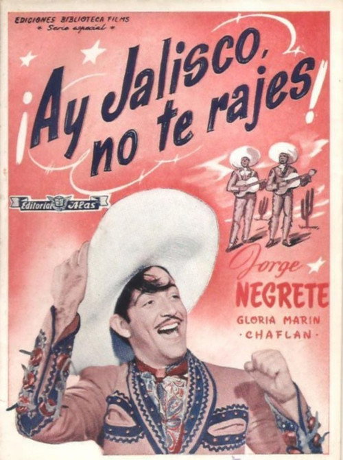 Poster of Ay, Jalisco, Don't Give Up!