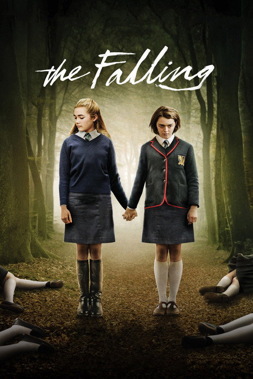 Póster de The Falling