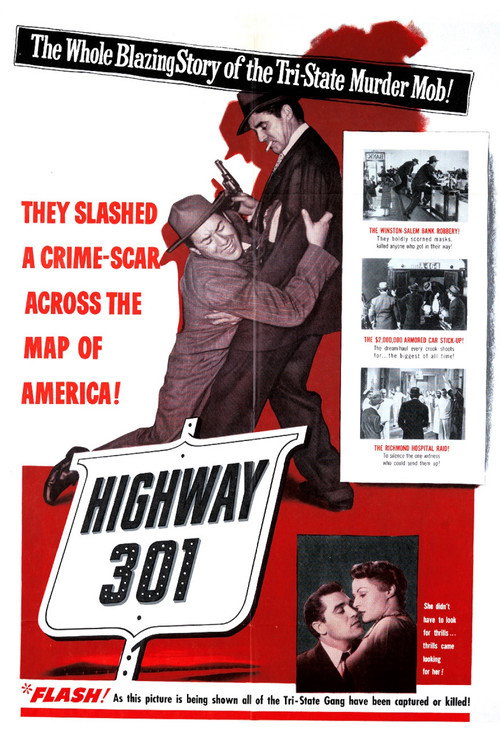 Póster de Highway 301
