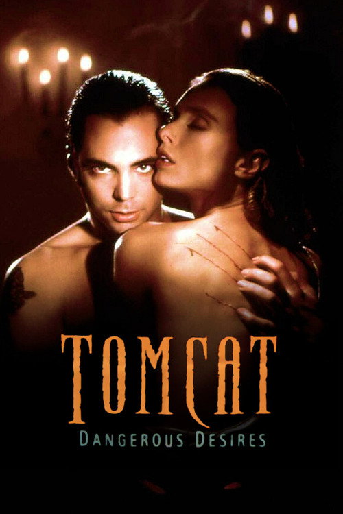 Póster de Tomcat: Dangerous Desires