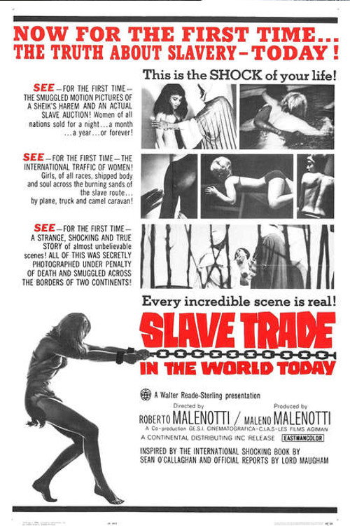 Póster de Slave Trade in the World Today