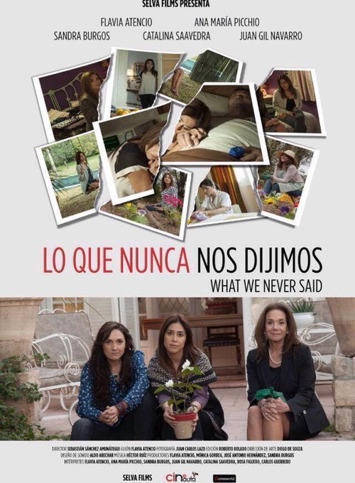 Locandina di What We Never Said