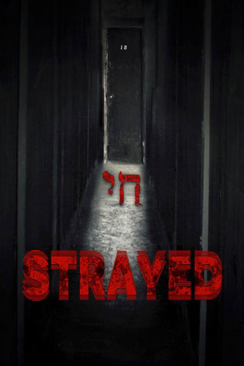 Locandina di Strayed