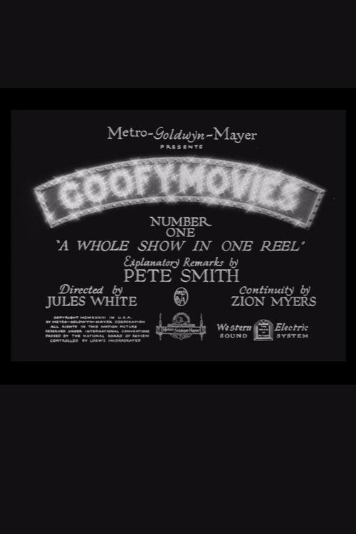 Póster de Goofy Movies Number One