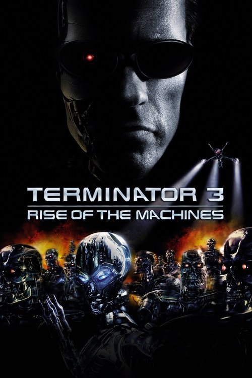 Póster de Terminator 3: Rise of the Machines