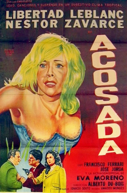 Póster de Acosada