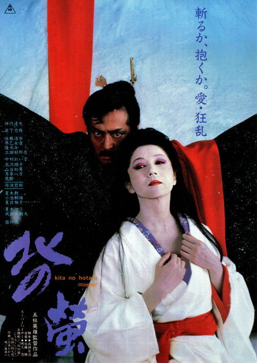 Poster von Fireflies in the North