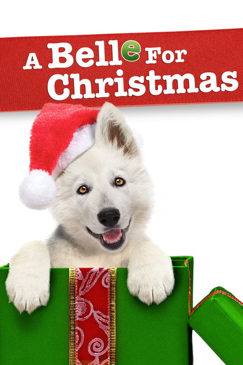 Póster de A Belle for Christmas