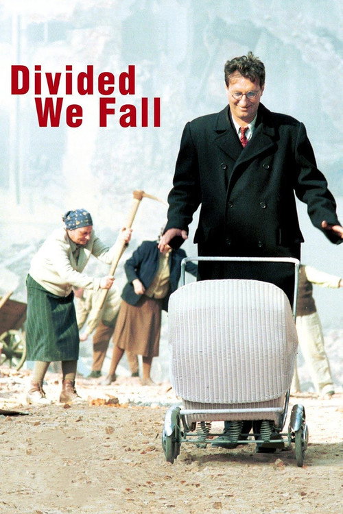 Póster de Divided We Fall