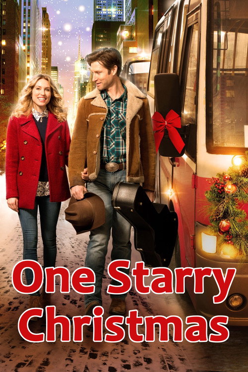 Póster de One Starry Christmas