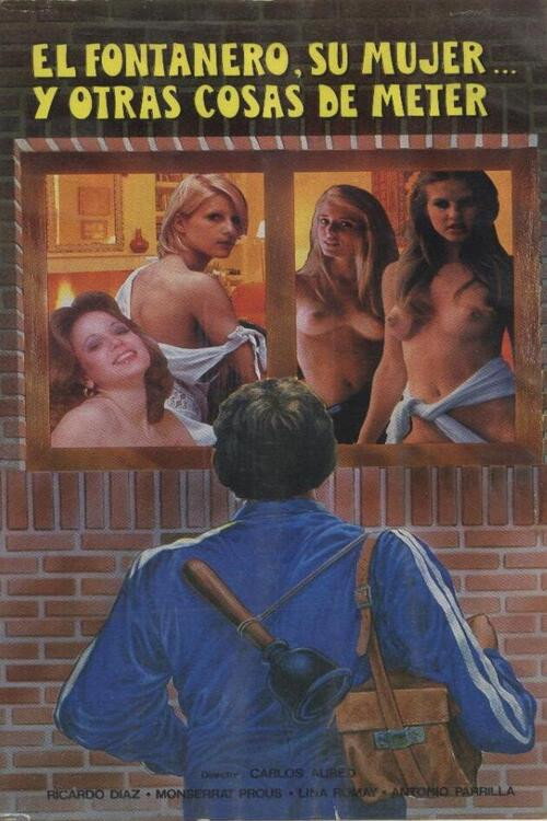 Póster de El fontanero, su mujer... y otras cosas de meter