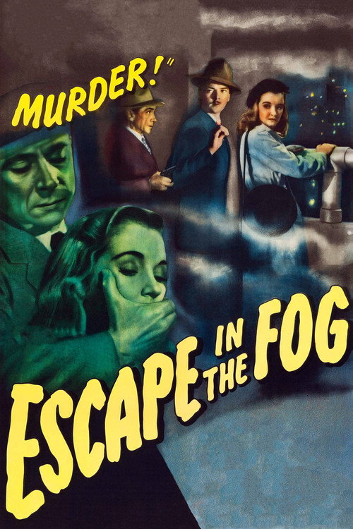 Póster de Escape in the Fog