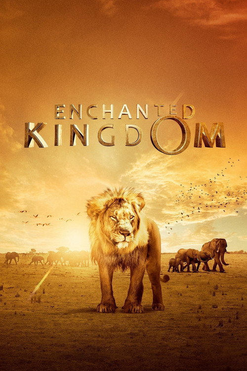 Póster de Enchanted Kingdom